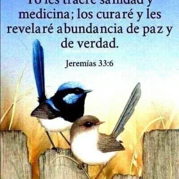 Meet your Posher, Rosio - Picture 1 of 1